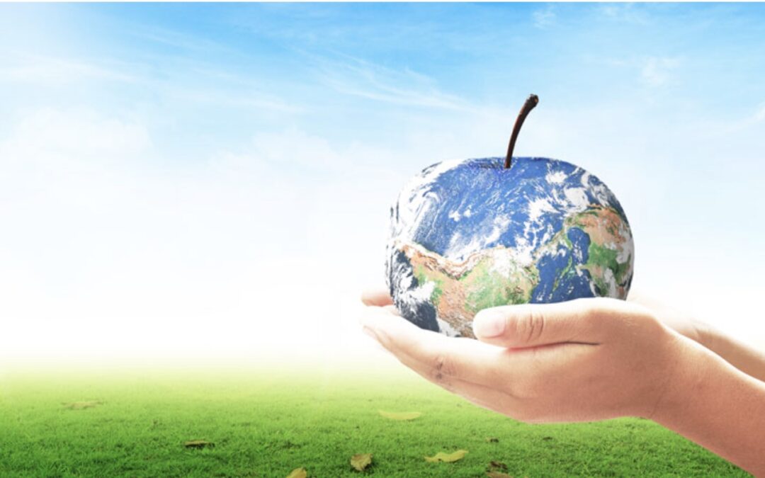 HopBite: Fuel Your Body — and the Planet